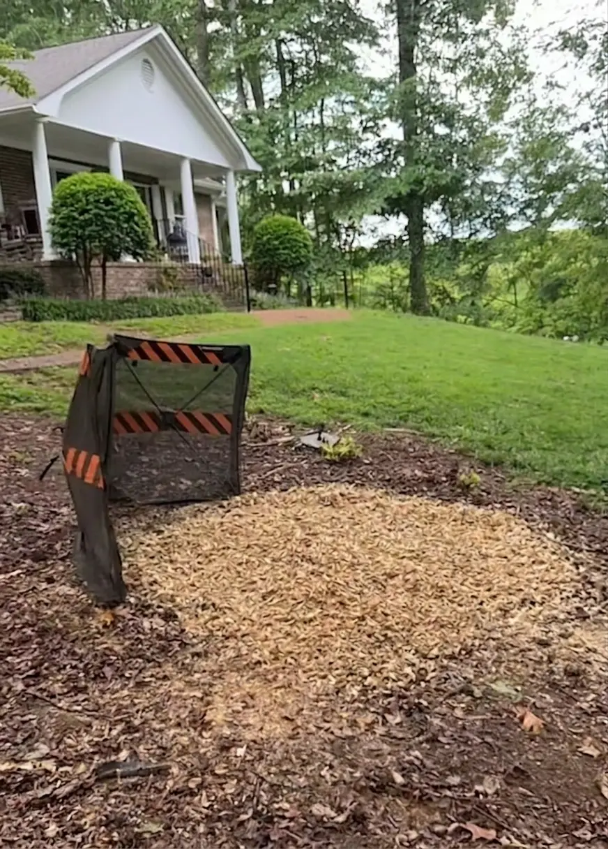Same Concord NC front yard after grinding, pine stump gone and the spot left level under a circle of fresh wood chips